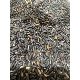 Nếp cẩm - nếp than đặc biệt
