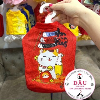 Áo mèo thần tài