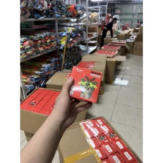 Mô hình lắp ráp lego 12 con giáp chọn mẫu