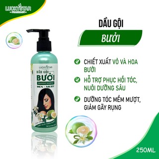 Dầu gội bưởi dưỡng tóc lucky star 250ml