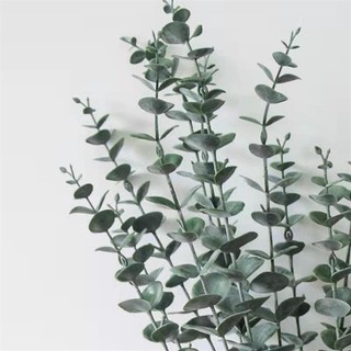Cành bạch đàn giả 32cm và 40cm