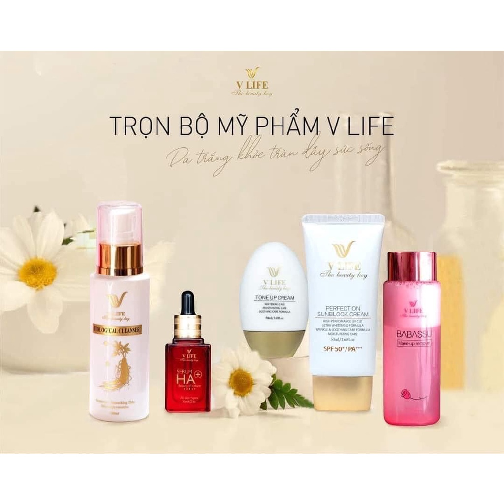 Combo 5 sản phẩm chăm sóc da Vlife hàng chính hãng