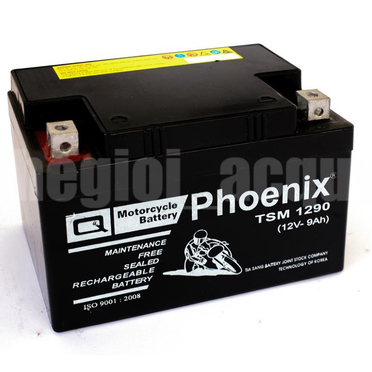 Ắc quy xe máy Phoenix 12V-9Ah (TSM1290)