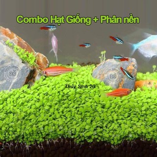 Combo phân nền + hạt giống thuỷ sinh