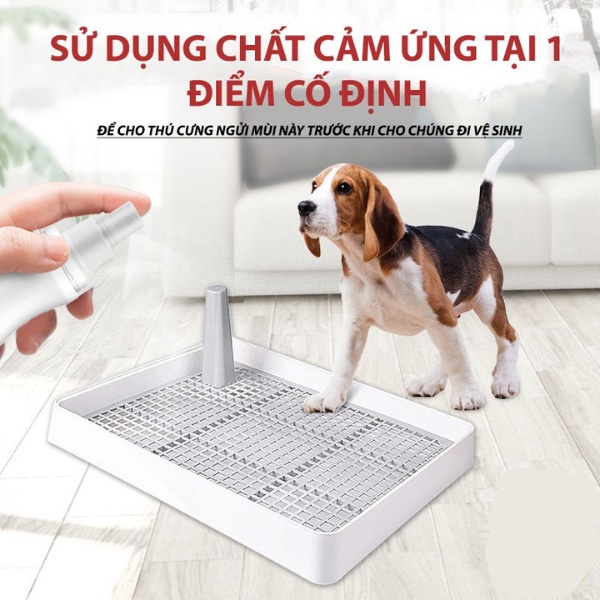 Xịt định vị vệ sinh chó mèo, tập thói quen đi vệ sinh đúng chỗ cho thú cưng
