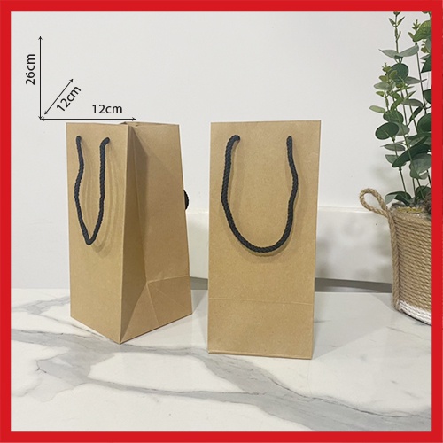 01 TÚI GIẤY KRAFT DÀI  12 X 26 X 12 CM