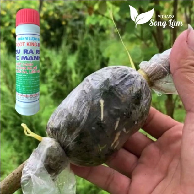 Kích Rễ Cực Mạnh Root King  Chế Phẩm Kích Rễ, Giâm Cành, Phun Lá CHÍNH HÃNG PHAMART