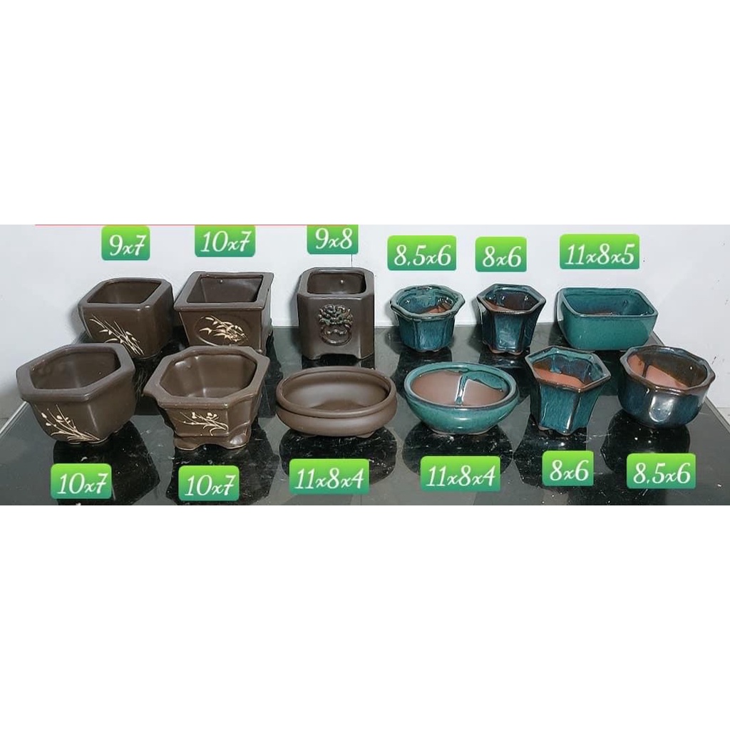 Combo 12 chậu bonsai cây cảnh sen đá mini màu đen xanh SP550