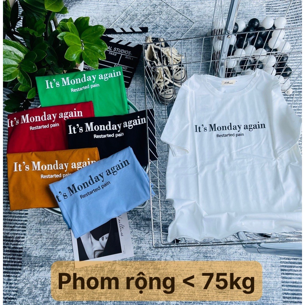 Áo Thun Thái from rộng, áo phông dấu quần vải mát dưới 75kg