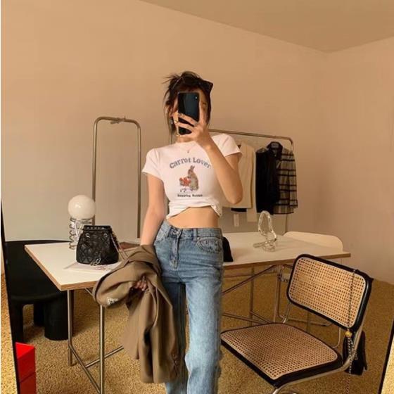 Áo baby tee thun nữ cotton ngắn tay cổ tròn in hình thỏ chất vải co dãn 4 chiều MA041