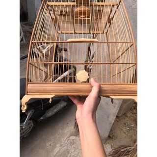 Khung chào mào tự giáp thái đấu tre già
