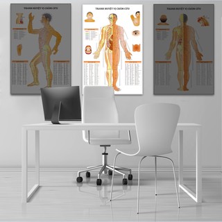 Tranh y khoa.Tranh huyệt vị châm cứu mặt trước - 50x75cm - Decal dán.Xưởng Tranh Kim Nhung