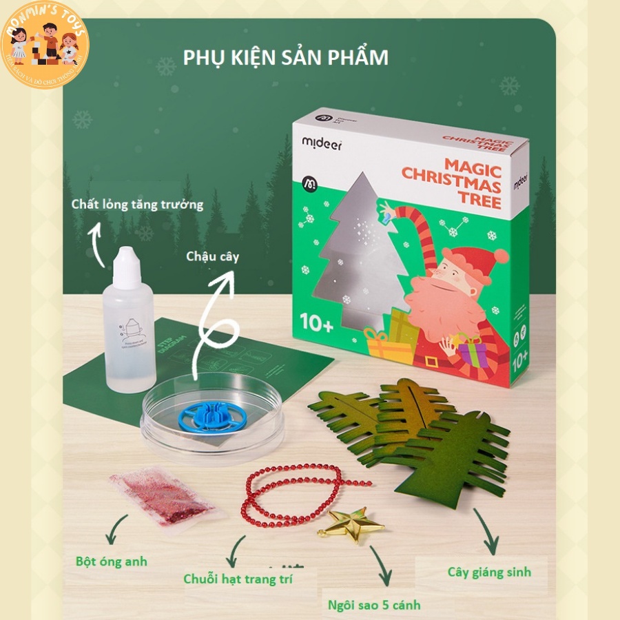 Cây Thông Ma Thuật - Mideer - Cây Thông Tự Nở Hoa