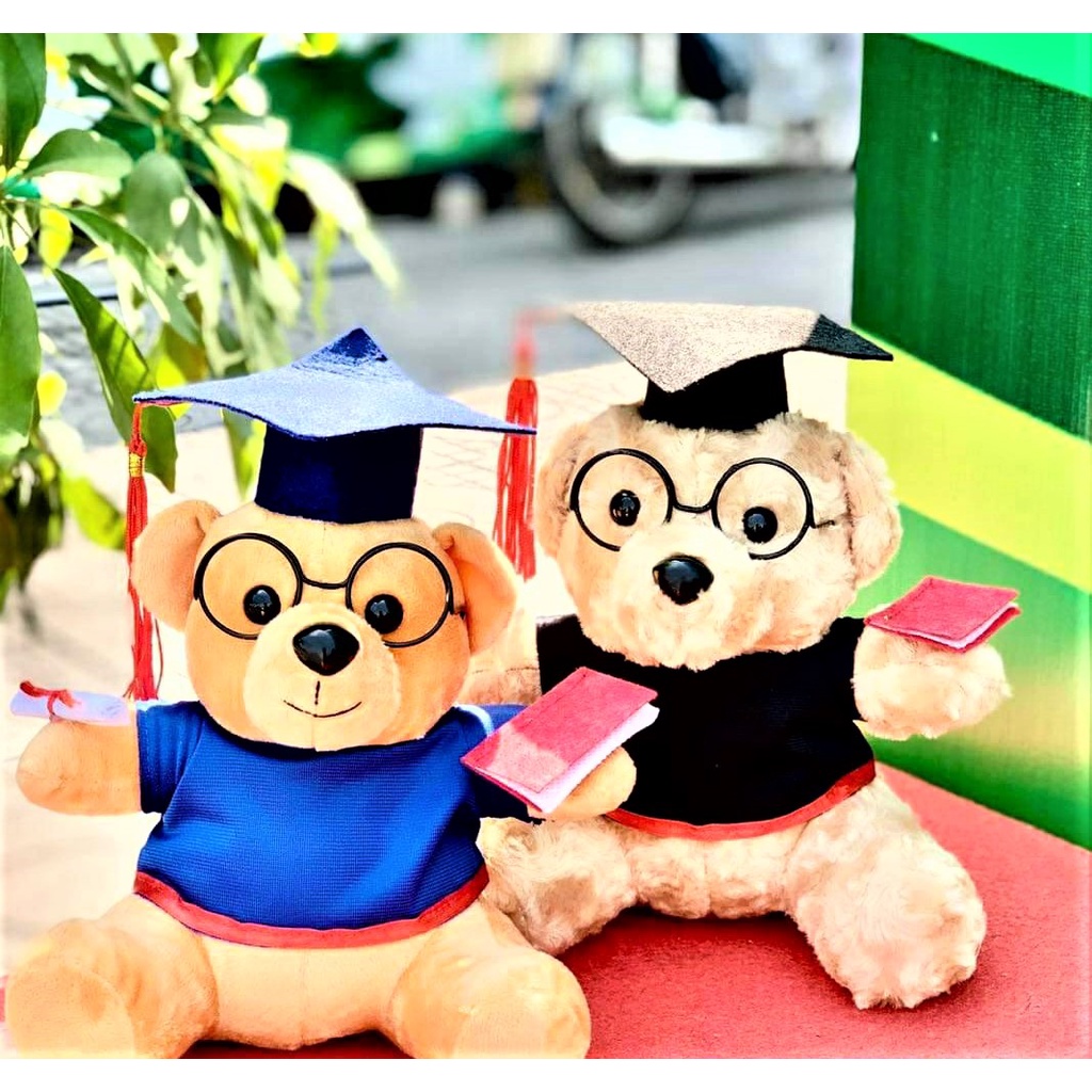 Gấu bông tốt nghiệp - Gấu bông cử nhân. Món quà ý nghĩa tặng người thân, bạn bè