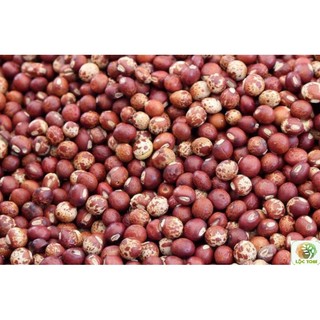 1kg Hạt đậu săng (đậu chiều)