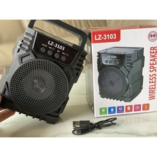 Loa Bluetooth LZ-3101/3103