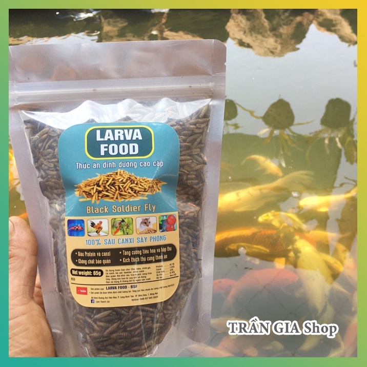 Sâu sấy khô cho Hamster, cá koi cá rồng, chim