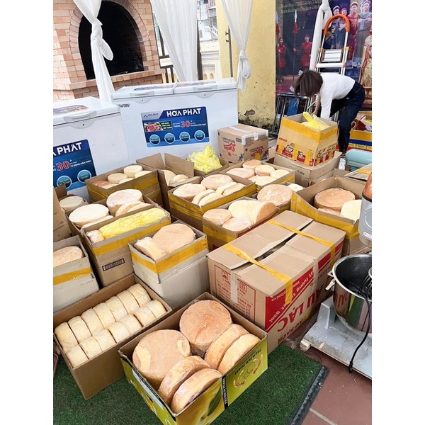 Cốt bánh bông lan tròn