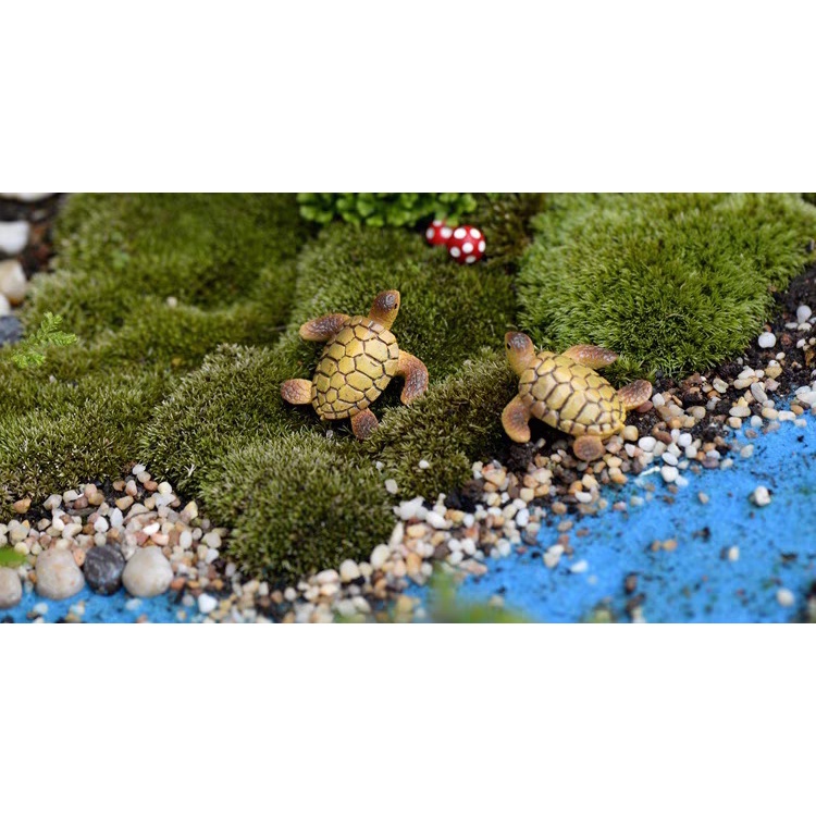 Mô hình con rùa biển kích thước 3x3,5cm  trang trí tiểu cảnh terrarium M2073