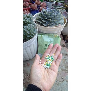Phân bón cho sen đá xương rồng, cây kiểng túi 150g_🌵🌱hàng sẵn