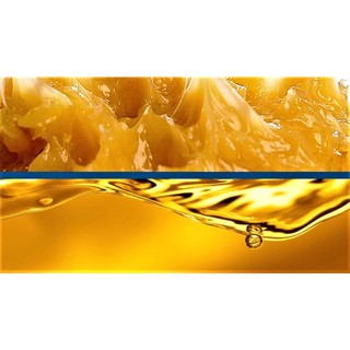 [HỎA TỐC HCM - MỠ BÔI TRƠN CAO CẤP ĐA DỤNG] GAKPO II KL 450 GR