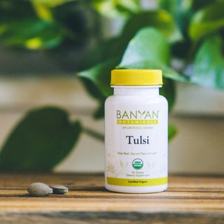 Tulsi tablets - Thúc đẩy chức năng tối ưu của phổi và hệ hô hấp