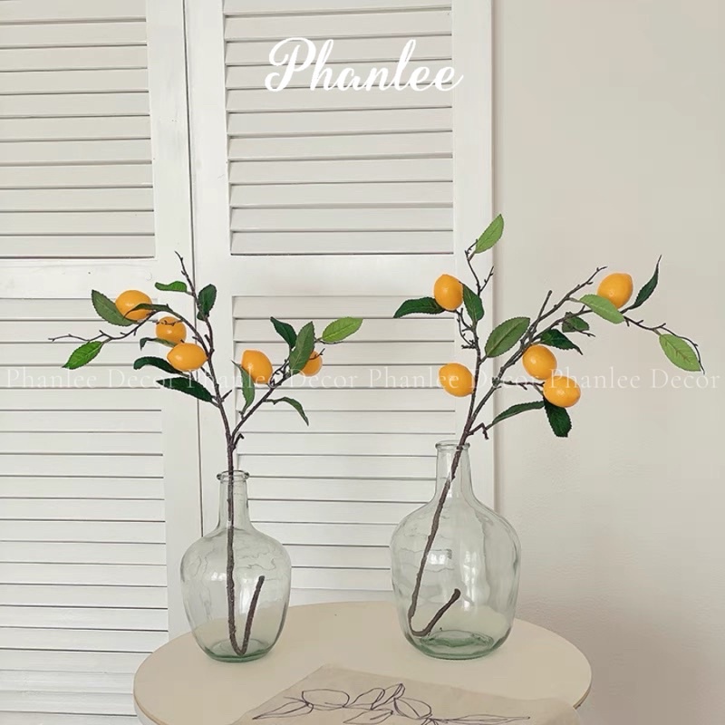Bình thuỷ tình hình vỏ chai độc lạ Phanlee