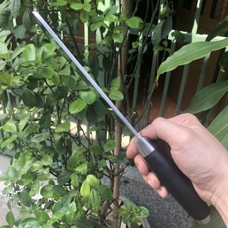 Dao chặt Đức zwilling 800g