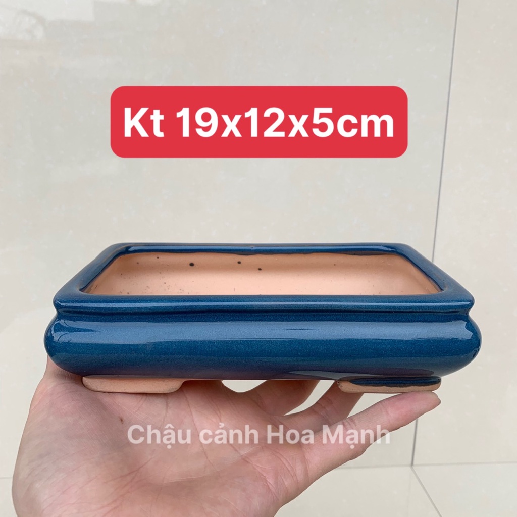 Chậu chữ nhật bonsai cây cảnh sen đá mini màu xanh SP536