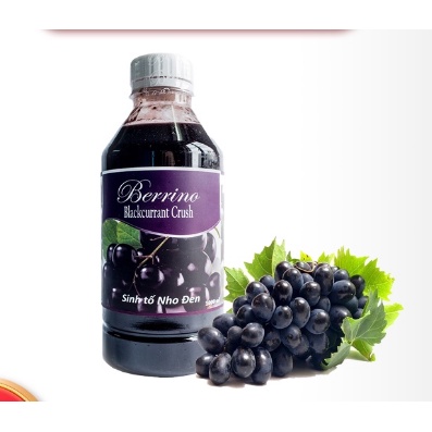 Sinh Tố Berino Nho đen làm sữa chua, trà sữa, pha chế...... chia 100g