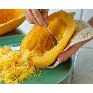 Hạt giống Bí Sợi Mì Ý Spagheti