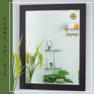 Gương soi phòng tắm cao cấp bán chạy nhất gs114 55x70cm