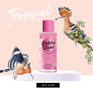 Xịt Thơm Victoria's Secret - Fresh & Clean