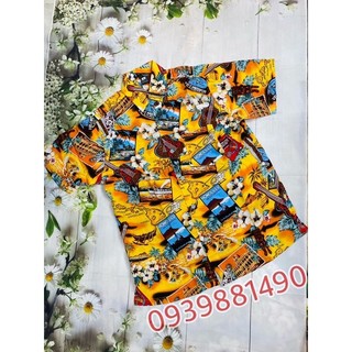 Sét đồ gia đình hawaii bigsize