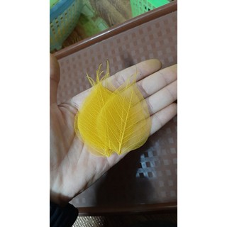 Xương lá bồ đề size mini 2-3-4cm để trang trí, làm đồ handmade