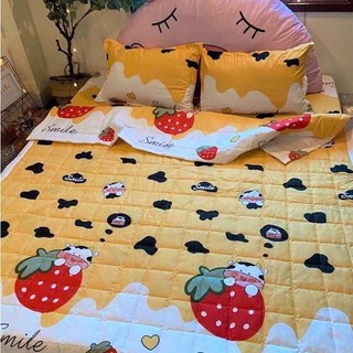 Chăn hè trần bông 3 lớp cotton poly mềm mịn
