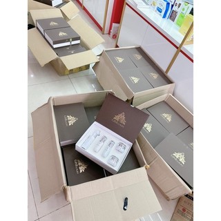 Bộ kem nám cao cấp gimi luxury