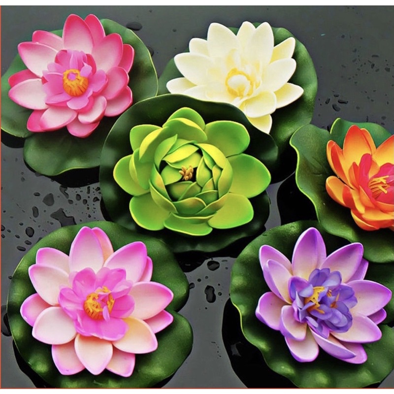 Hoa Sen Thả Bát, Thả Bể Cá