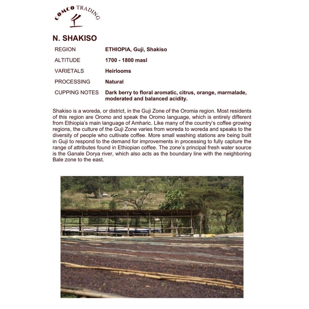 SPECIAL COFFEE - HẠT - 2 TÚI 250 GRAM  - ETHIOPIA  N.SHAKISO G1 - Natural.