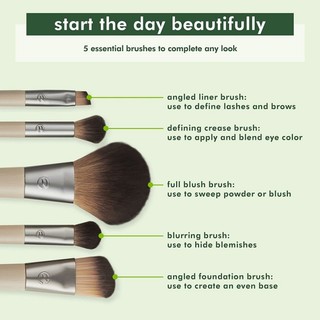 [Meoheo] Bộ cọ Six Piece Starter Set Ecotools