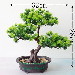 Cây bonsai giả tùng tam đa