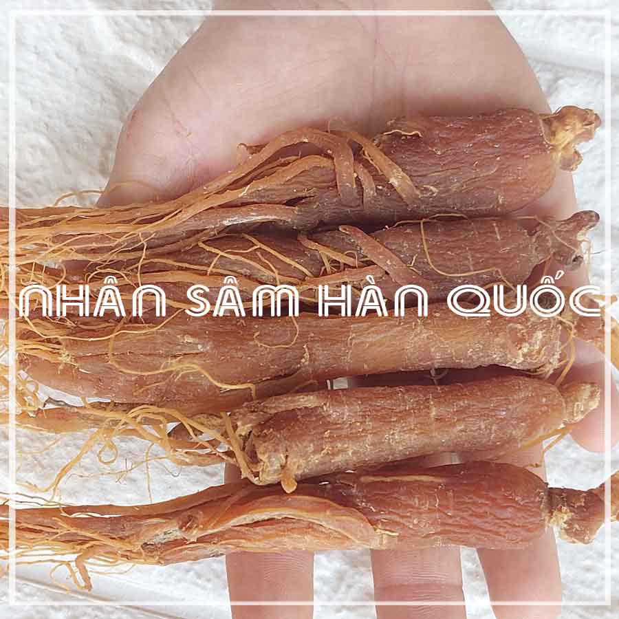 Củ Nhân Sâm (Hồng Sâm) Hàn Quốc khô loại 1