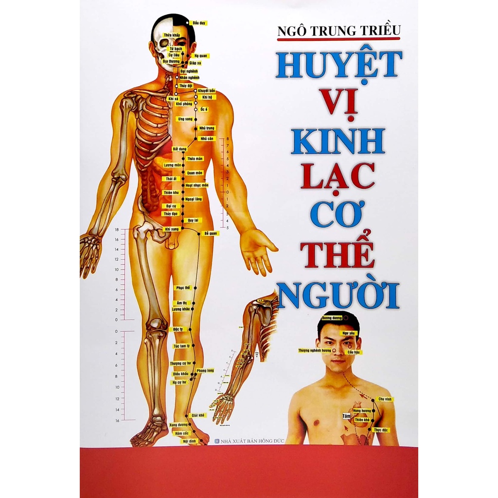 Sách - Huyệt Vị Kinh Lạc Cơ Thể Người