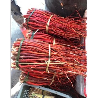 1kg sâm cau đỏ tươi rừng tây bắc - giúp bồi bổ sức khoẻ