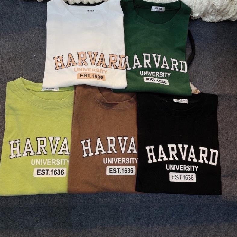 Áo Thun Tay Lỡ Cotton Khô 3158 Form Rộng Nam Nữ HARVARD