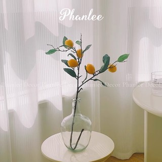 Bình thuỷ tình hình vỏ chai độc lạ Phanlee