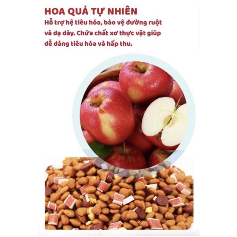5kg Hạt captain cho chó mix thịt bò, cá hồi và phomai