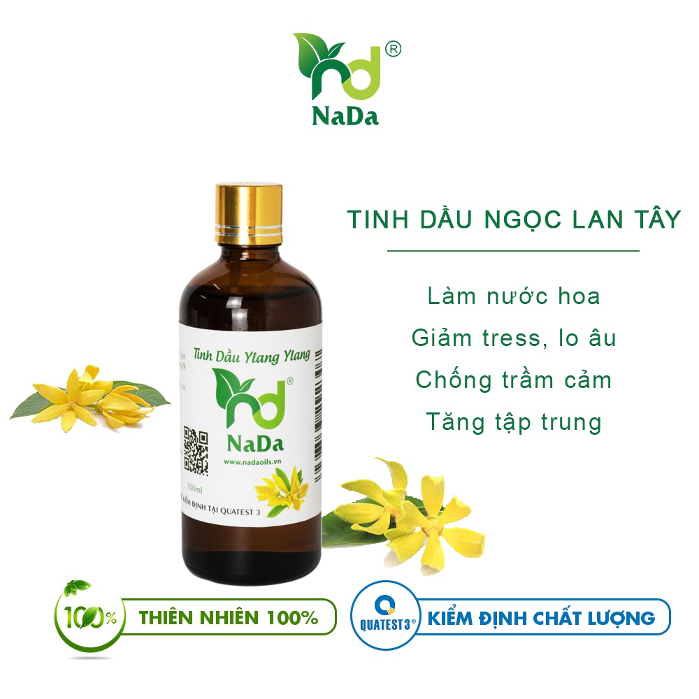 Tinh dầu Ngọc Lan Tây nguyên chất Nada | Kiểm định QT3 | Khử mùi, tăng sự tập trung, thư giãn tinh thần.