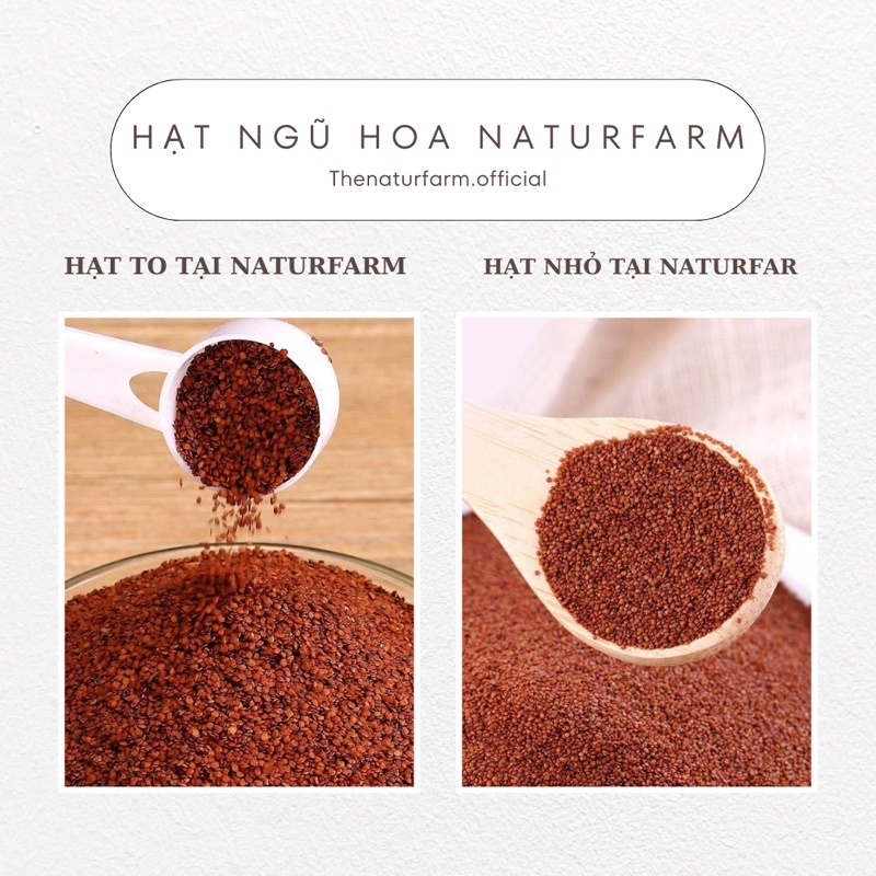 Hạt ngũ hoa sạch nguyên chất organic 300GR - Mỹ phẩm Handmade