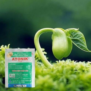 ATONIK 1.8SL (Chính Hãng) 1 GÓI